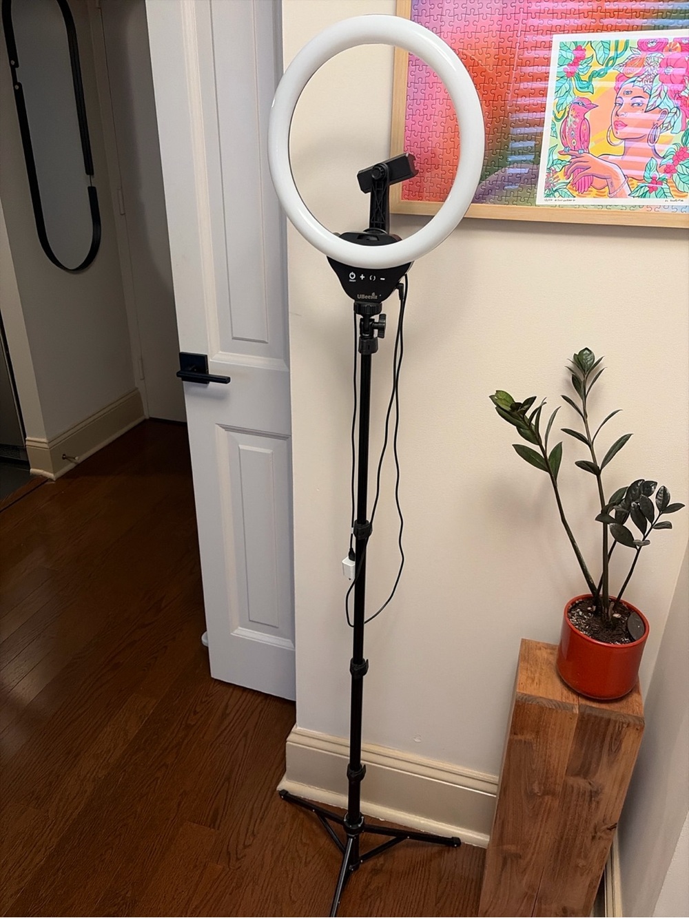 UBeesize Ring Light with Adjustable Tripod & Phone Holder USB